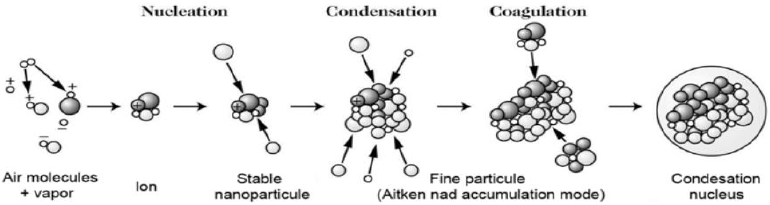 Possible Path of Evolution of a Particle, from Nucleation to Coagulation