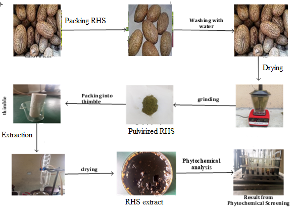 Flow diagram for the extraction and phytochemical screening of Raphia hookeri seed